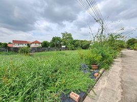  Grundstück zu verkaufen im Panya Lake Home , Sam Wa Tawan Tok, Khlong Sam Wa