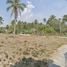  Land for sale in Splash Jungle Water Park, Mai Khao, Mai Khao