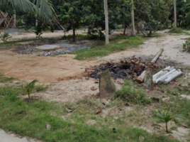  Land for sale in Surat Thani, Ko Pha-Ngan, Ko Pha-Ngan, Surat Thani