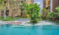 写真 2 of the Communal Pool at THE BASE Central Phuket