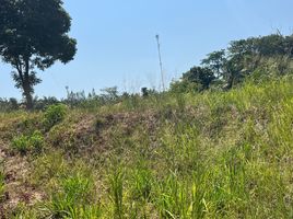  Land for sale in Phuket, Rawai, Phuket Town, Phuket