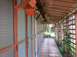7 Schlafzimmer Villa zu verkaufen in Mueang Chiang Mai, Chiang Mai, Pa Daet