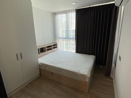 2 Bedroom Condo for rent at Atmoz Chaengwattana, Khlong Kluea, Pak Kret