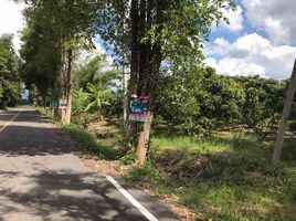  Land for sale in Phrao, Chiang Mai, Mae Pang, Phrao