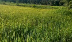 N/A Land for sale in I Ngong, Roi Et 