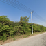  Land for sale in Nong Ruea, Nong Ruea, Nong Ruea