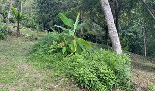 N/A Land for sale in Patong, Phuket 