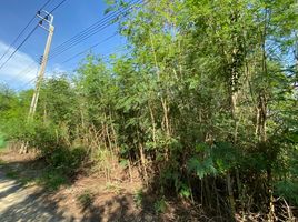  Land for sale in Sai Noi, Nonthaburi, Sai Noi, Sai Noi