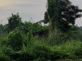  Grundstück zu verkaufen in Sam Phran, Nakhon Pathom, Rai Khing