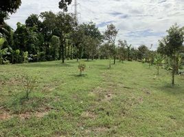  Land for sale in Chanthaburi, Wang Mai, Na Yai Am, Chanthaburi