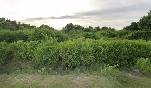 N/A Land for sale in A Noru, Pattani 