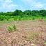  Land for sale in Nong Phue, Tha Li, Nong Phue