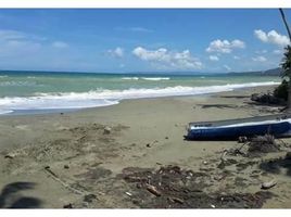  Land for sale in Espaillat, Gaspar Hernandez, Espaillat