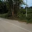  Land for sale in Pa Khlok, Phuket, Pa Khlok, Thalang