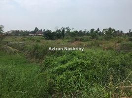  Grundstück zu verkaufen in Langkawi, Kedah, Padang Masirat