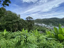 ขายที่ดิน ใน เมืองภูเก็ต ภูเก็ต, กะรน