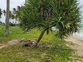  Grundstück zu verkaufen in Ko Lanta, Krabi, Sala Dan, Ko Lanta