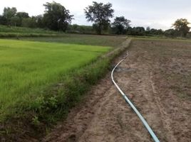  Grundstück zu verkaufen in Nam Yuen, Ubon Ratchathani, Song, Nam Yuen