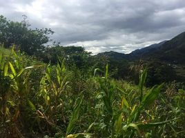  Grundstück zu verkaufen in Loja, Loja, Vilcabamba Victoria, Loja, Loja