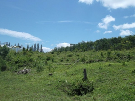  Land for sale in Pa Khlok, Thalang, Pa Khlok