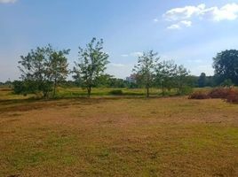  Land for sale in Chaiyaphum, Nai Mueang, Mueang Chaiyaphum, Chaiyaphum