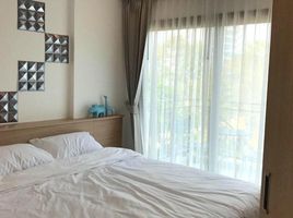 1 Bedroom Apartment for rent at City Garden Tropicana, Na Kluea
