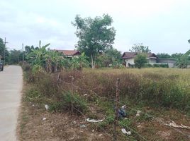  Land for sale in Krabi, Ao Nang, Mueang Krabi, Krabi