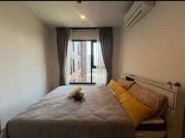 1 Schlafzimmer Appartement zu vermieten im Life Asoke Hype, Makkasan, Ratchathewi