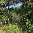  Land for sale in Bagaces, Guanacaste, Bagaces