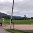  Land for sale in Thung Pi, Mae Wang, Thung Pi