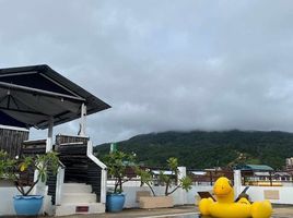 60 Bedroom Hotel for sale in Patong, Kathu, Patong