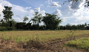 N/A Land for sale in San Phak Wan, Chiang Mai 