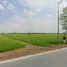  Land for sale in Bang Len Nakhon Pathom, Nara Phirom, Bang Len, Nakhon Pathom