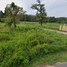  Land for sale in Pa Khlok, Thalang, Pa Khlok