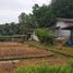  Grundstück zu verkaufen in Sai Noi, Nonthaburi, Thawi Watthana, Sai Noi, Nonthaburi