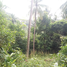  Land for sale in Surat Thani, Ko Pha-Ngan, Ko Pha-Ngan, Surat Thani