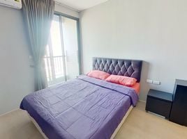 1 Schlafzimmer Wohnung zu vermieten im Rhythm Sukhumvit 44/1, Phra Khanong, Khlong Toei