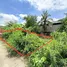  Grundstück zu verkaufen in Mueang Samut Sakhon, Samut Sakhon, Ban Ko, Mueang Samut Sakhon
