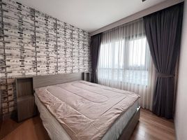 1 Schlafzimmer Appartement zu vermieten im Chapter One Midtown Ladprao 24, Chomphon