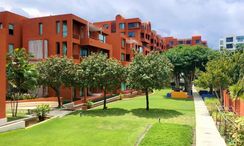 Fotos 3 of the Communal Garden Area at Las Tortugas Condo