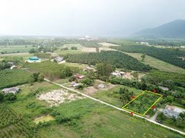  Land for sale in Chon Buri, Bo Kwang Thong, Bo Thong, Chon Buri