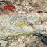  Land for sale in Tecate, Baja California, Tecate