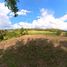  Land for sale in Ngao, Chiang Rai, Ngao, Thoeng