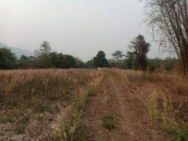  Grundstück zu verkaufen in Phan, Chiang Rai, Mae O, Phan