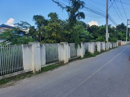  Grundstück zu verkaufen in San Sai, Chiang Mai, San Sai Noi, San Sai