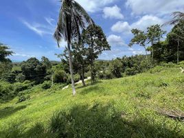  Land for sale in Baan Tai Beach, Maenam, Maenam