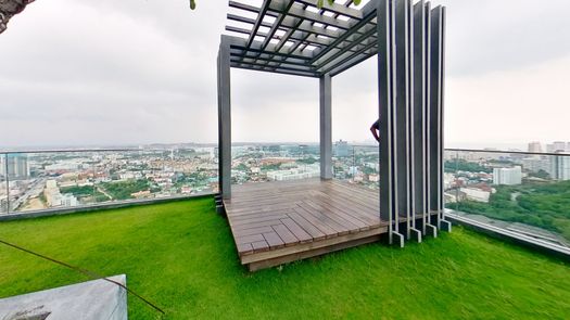 3D视图 of the Communal Garden Area at Unixx South Pattaya