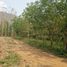  Land for sale in Pak Chom, Loei, Chiang Klom, Pak Chom