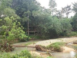  Land for sale in Koh Samui, Bo Phut, Koh Samui