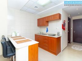 Studio Apartment for sale at Marina Apartments H, Al Hamra Marina Residences, Al Hamra Village, Ras Al-Khaimah